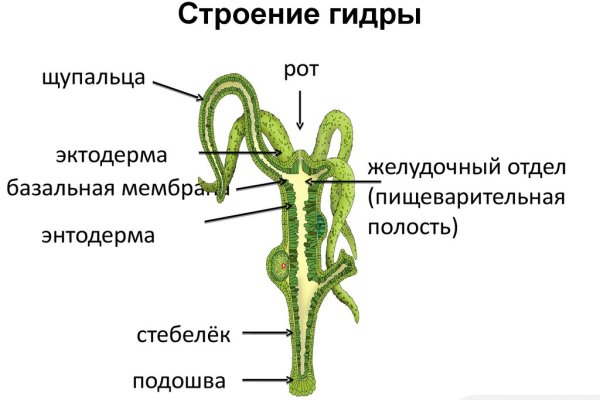 Кракен нарко шоп