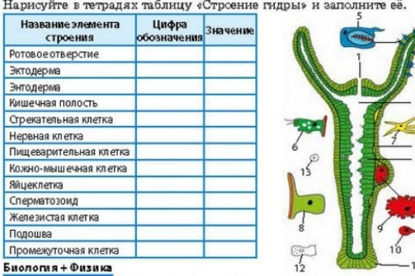 Ссылки кракен телеграф