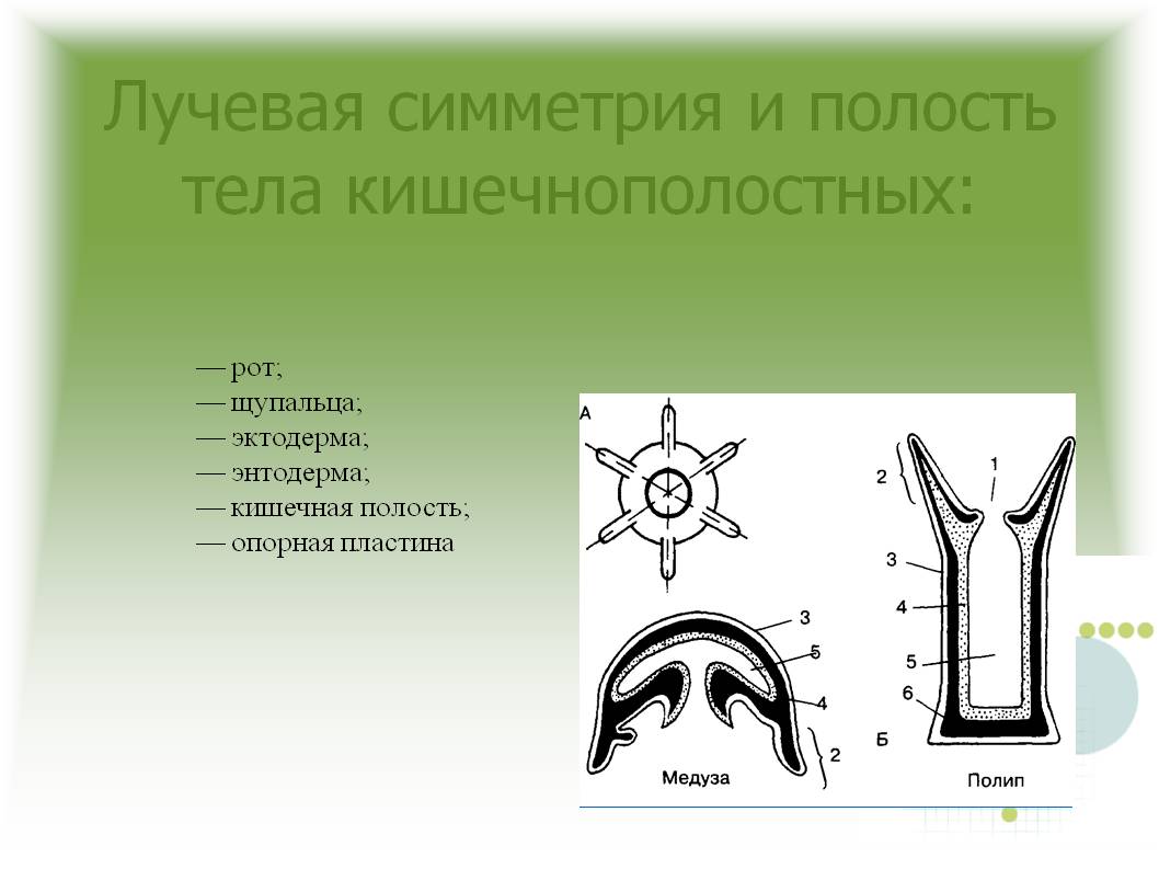 Кракен актуальная